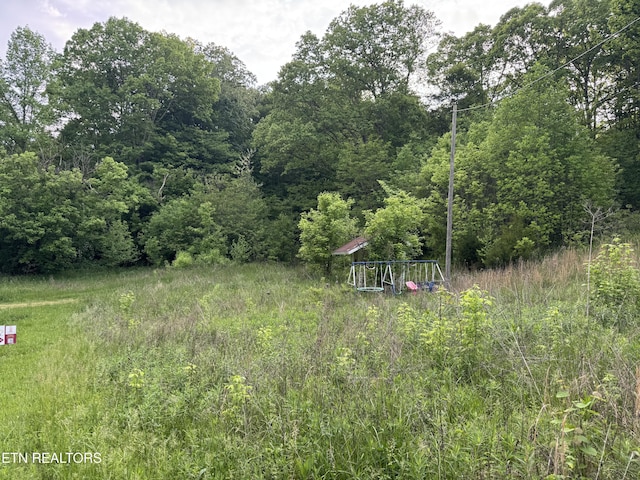 3441 Glendale Rd, Bybee, TN 37713 - view of yard with a view of trees