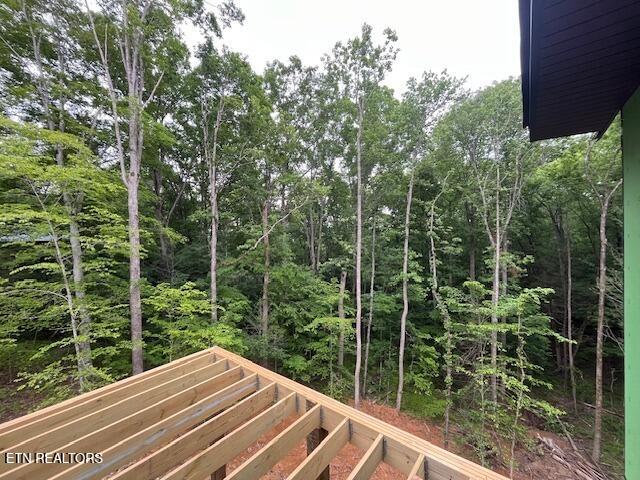 106 Fairway Cir, Townsend, TN 37882 - photo 10