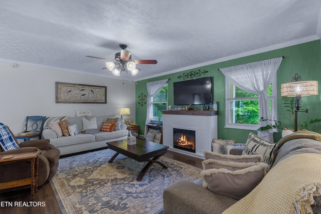 209 Highland Dr, Harriman, TN 37748 - photo 4