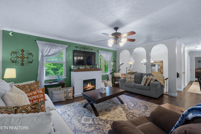 209 Highland Dr, Harriman, TN 37748 - photo 7