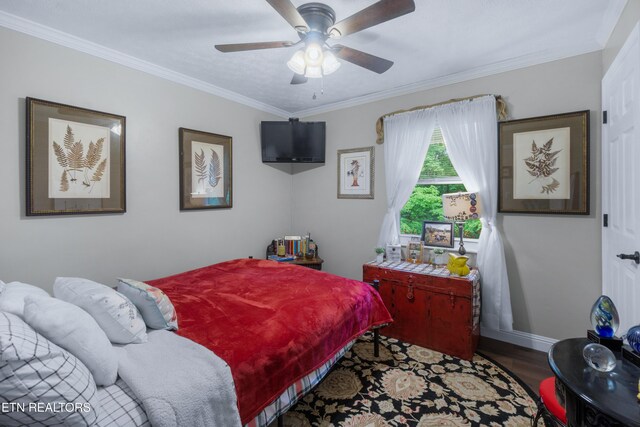 209 Highland Dr, Harriman, TN 37748 - photo 23