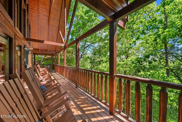 2010 Smoky Cove Rd, Sevierville, TN 37876 - photo 38
