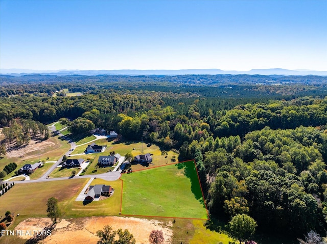 LOT15 County Road 7004, Athens, TN 37303 - photo 5