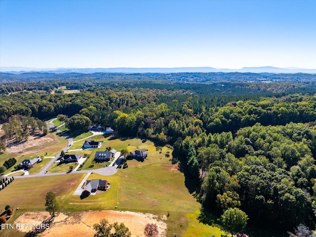 LOT15 County Road 7004, Athens, TN 37303 - photo 6