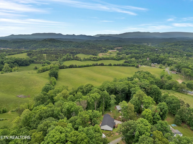 bird's eye view of a mountainous background