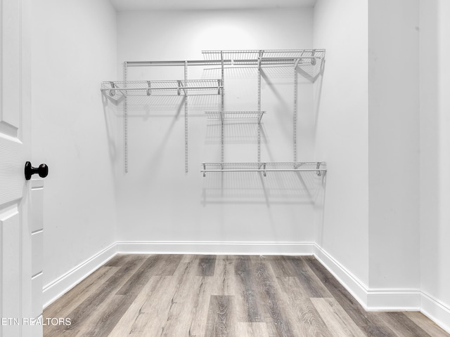 walk in closet featuring wood finished floors