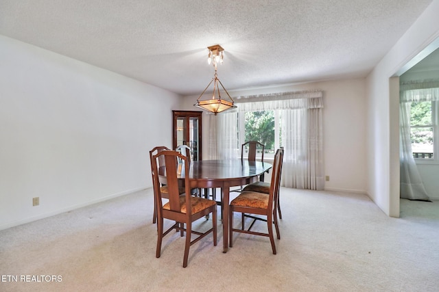 11 Kingsboro Ln, Crossville, TN 38558 - dining area featuring healthy amount of natural light, light colored carpet, and a textured ceiling