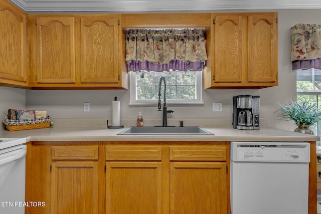 kitchen with white dishwasher, a sink, light countertops, range, and healthy amount of natural light