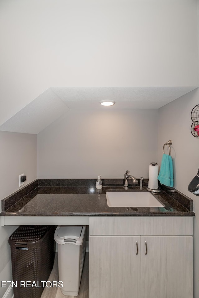 109 Niwodihi Trl, Vonore, TN 37885 - bathroom featuring wood finished floors and vanity