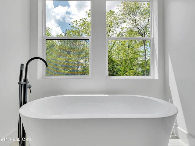 1715 Serene Cove Way, Knoxville, TN 37920 - bathroom with a freestanding tub