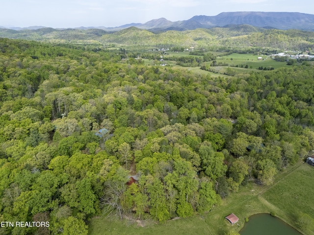3364 Rocky Ridge Rd, Cosby, TN 37722 - aerial view of a heavily wooded area and a mountain backdrop
