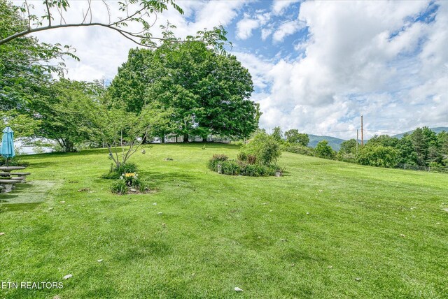2229 Knoxville Hwy, Wartburg, TN 37887 - photo 10