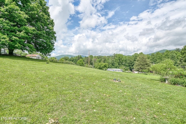 2229 Knoxville Hwy, Wartburg, TN 37887 - photo 14