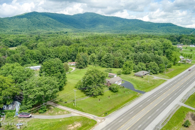 2229 Knoxville Hwy, Wartburg, TN 37887 - photo 23