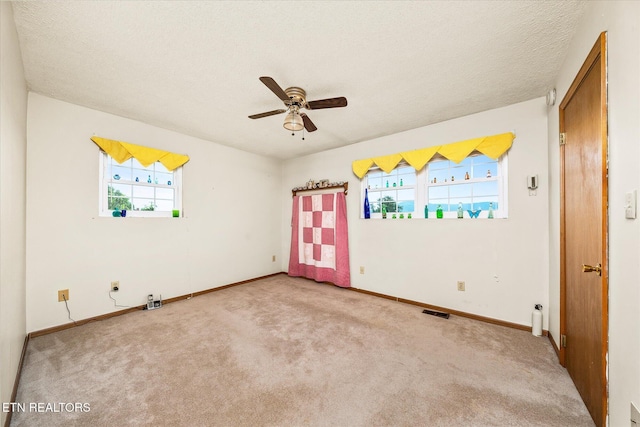2229 Knoxville Hwy, Wartburg, TN 37887 - photo 41