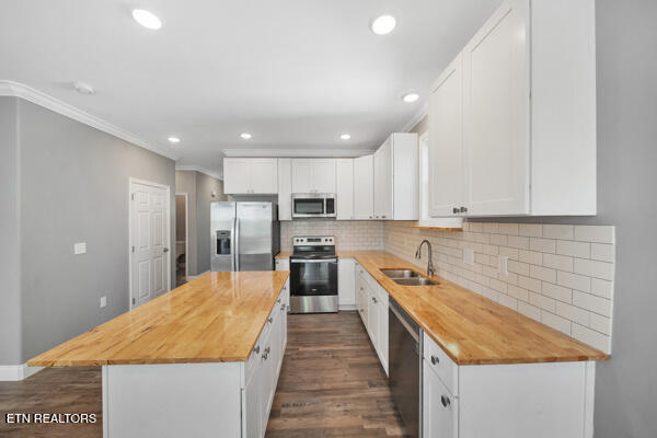 3966 Mountain Vista Rd, Knoxville, TN 37931 - kitchen with stainless steel appliances, wooden counters, a sink, ornamental molding, and white cabinetry