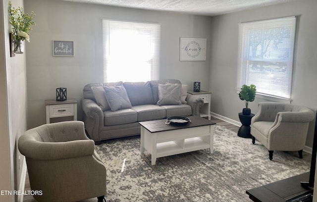 2010 Fine Ave, Knoxville, TN 37917 - living area featuring healthy amount of natural light, baseboards, and wood finished floors
