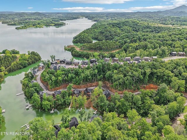 134 Jolene Way, Sevierville, TN 37876 - aerial overview of property's location with a large body of water and a heavily wooded area
