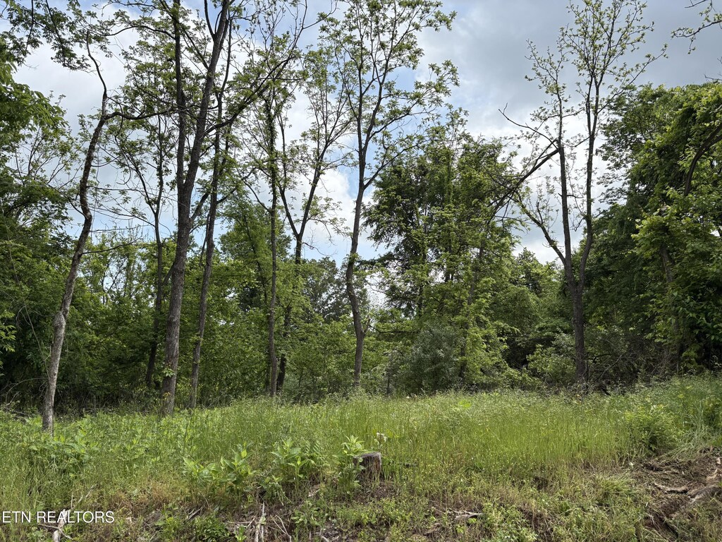 Grubb Rd, Lenoir City, TN 37771 - photo 1