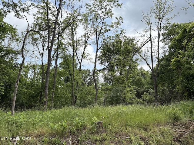 Grubb Rd, Lenoir City, TN 37771