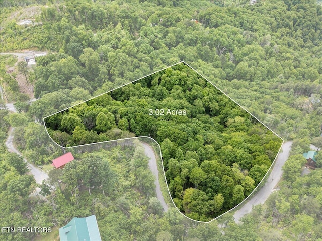 Spurling Way, Sevierville, TN 37862 - photo 1