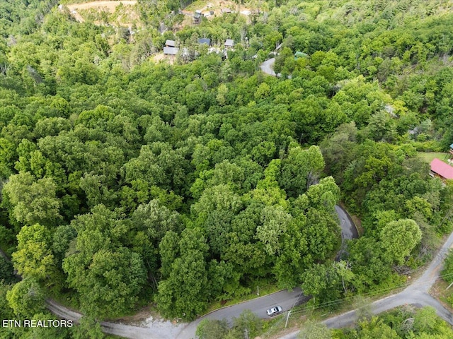 Spurling Way, Sevierville, TN 37862 - photo 2