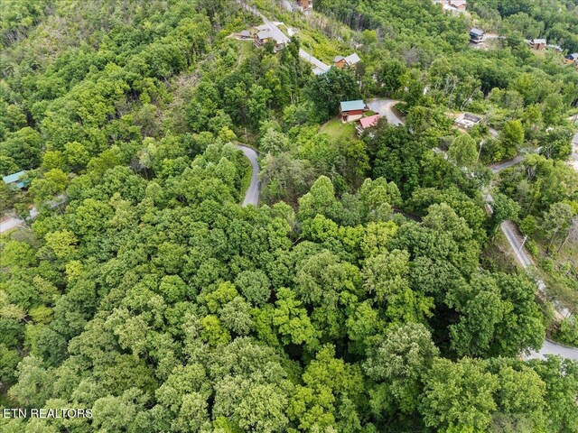 Spurling Way, Sevierville, TN 37862 - photo 3