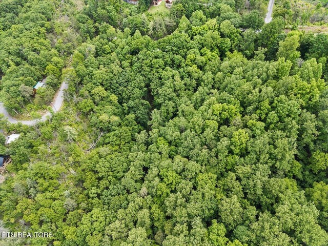 Spurling Way, Sevierville, TN 37862 - photo 4