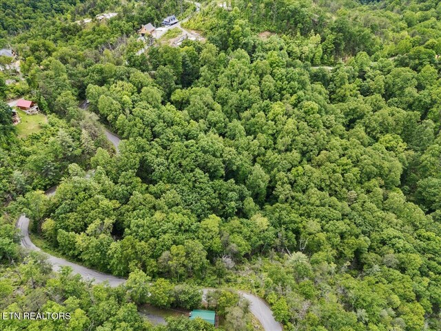 Spurling Way, Sevierville, TN 37862 - photo 5