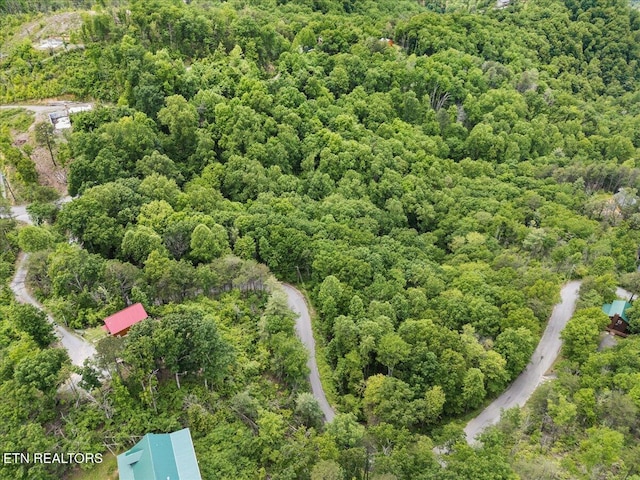 Spurling Way, Sevierville, TN 37862 - photo 6