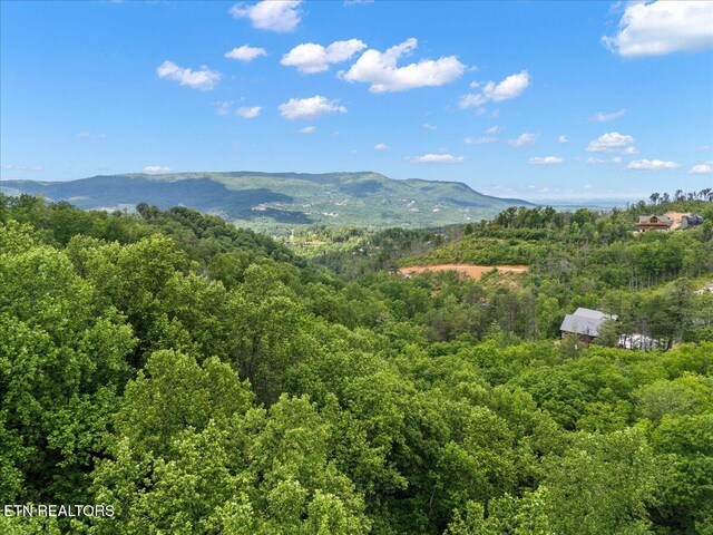 Spurling Way, Sevierville, TN 37862 - photo 7