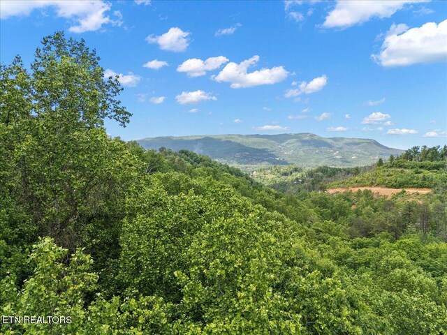 Spurling Way, Sevierville, TN 37862 - photo 8
