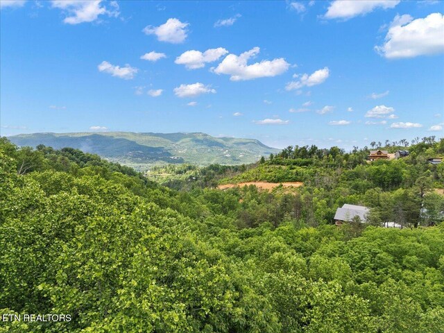 Spurling Way, Sevierville, TN 37862 - photo 9
