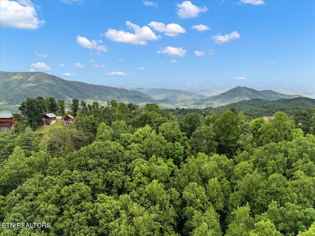 Spurling Way, Sevierville, TN 37862 - photo 10