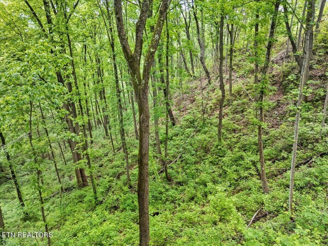 Spurling Way, Sevierville, TN 37862 - photo 11