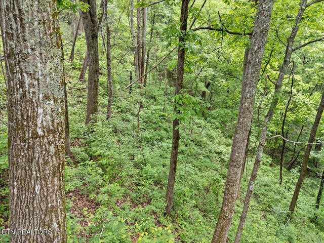 Spurling Way, Sevierville, TN 37862 - photo 12