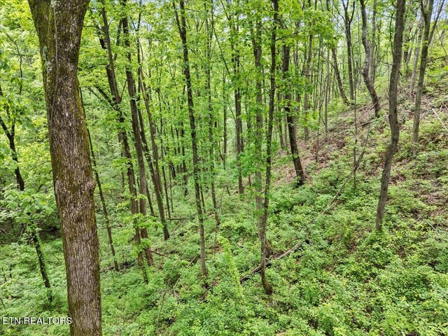 Spurling Way, Sevierville, TN 37862 - photo 13