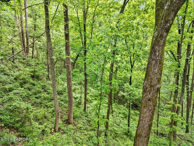 Spurling Way, Sevierville, TN 37862 - photo 14