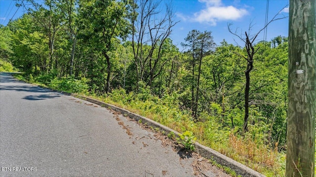 Spurling Way, Sevierville, TN 37862 - photo 16