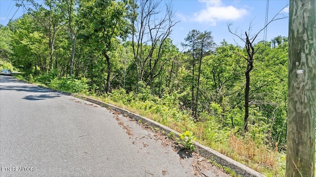 Spurling Way, Sevierville, TN 37862 - photo 17