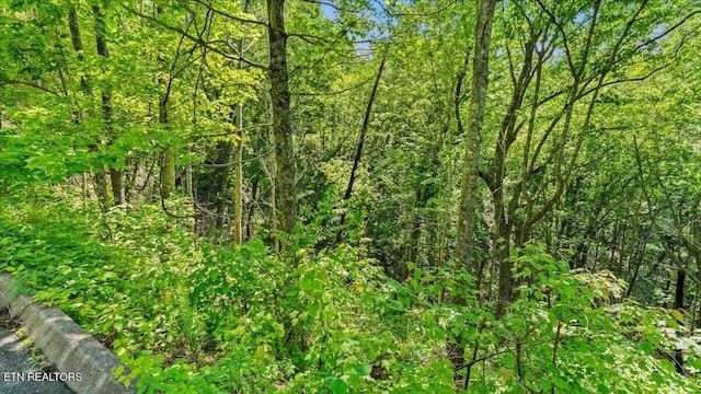 Spurling Way, Sevierville, TN 37862 - photo 18