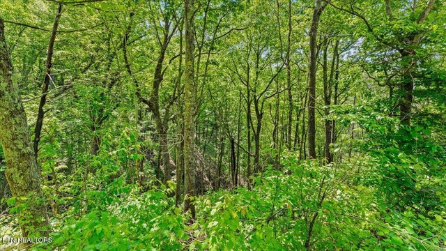 Spurling Way, Sevierville, TN 37862 - photo 19