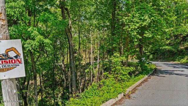 Spurling Way, Sevierville, TN 37862 - photo 20
