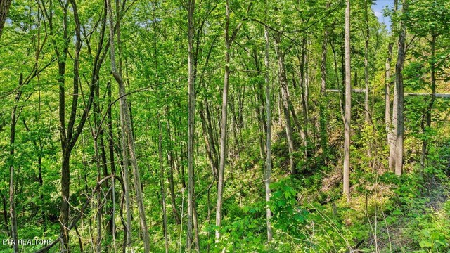 Spurling Way, Sevierville, TN 37862 - photo 21