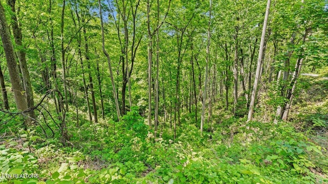 Spurling Way, Sevierville, TN 37862 - photo 22