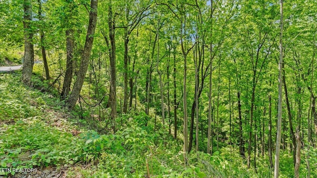 Spurling Way, Sevierville, TN 37862 - photo 23