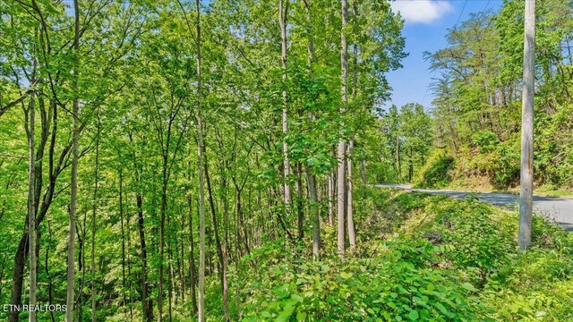 Spurling Way, Sevierville, TN 37862 - photo 24