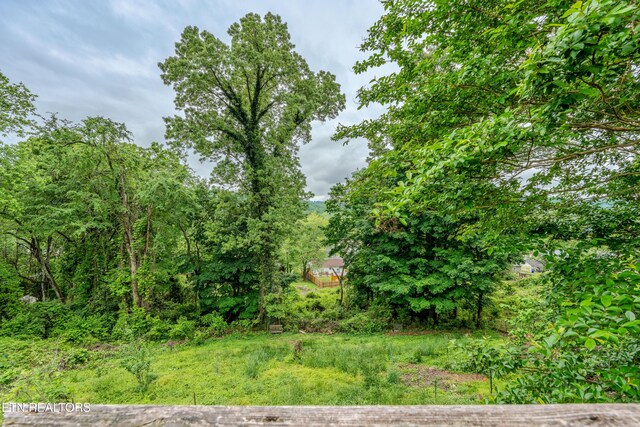 view of local wilderness