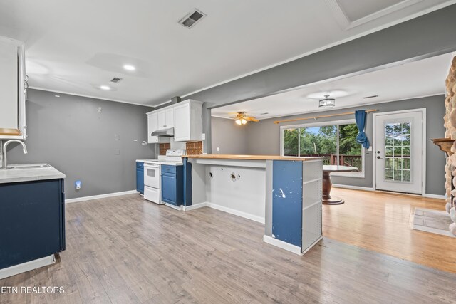 kitchen featuring white electric stove, a sink, a peninsula, blue cabinets, and under cabinet range hood