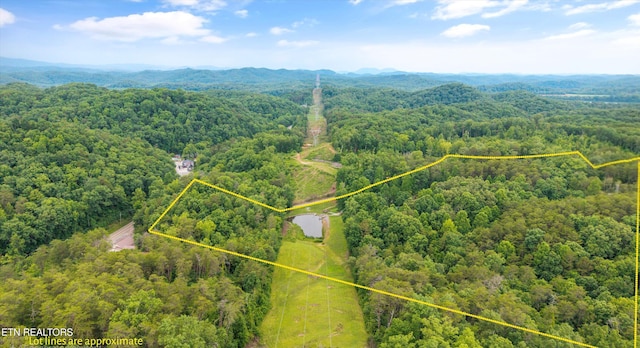 4349 Calderwood Hwy, Maryville, TN 37801 - photo 34